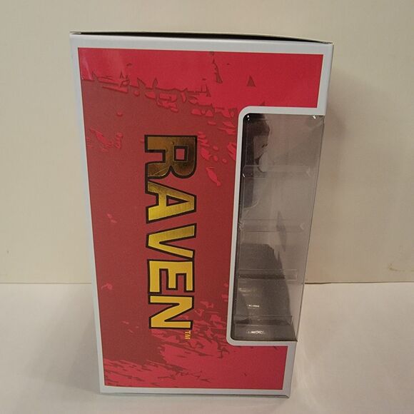 Vinyl Collectibles Teen Titans Go! RAVEN Blank Eyes Toys R Us Exclusive NIB - Picture 2 of 4